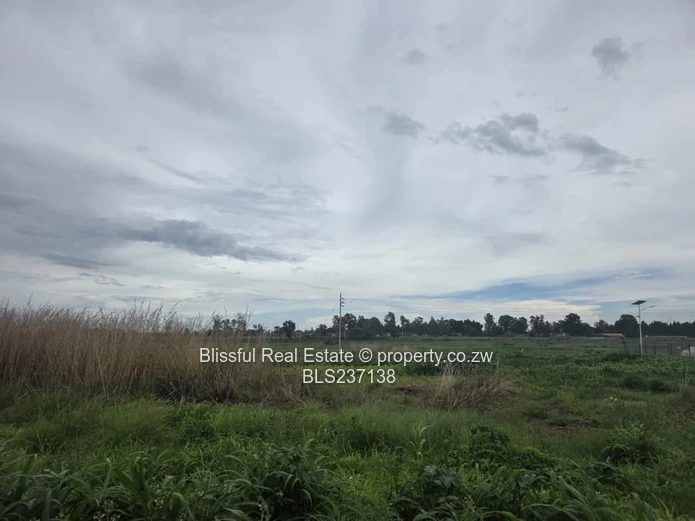 Pomona Township Stand for Sale