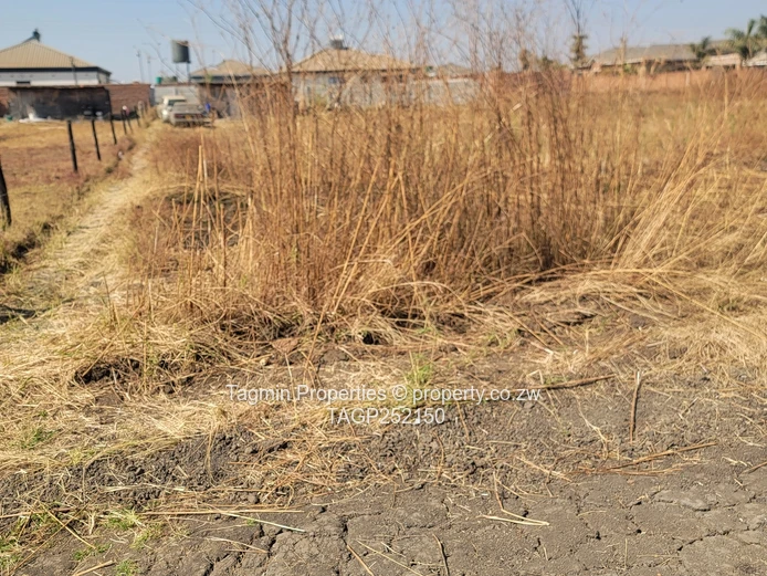 1250sqms Sandton 5minutes driving from Westgate  Ready to build clean developer cession  zesa availa (Sole Mandate)