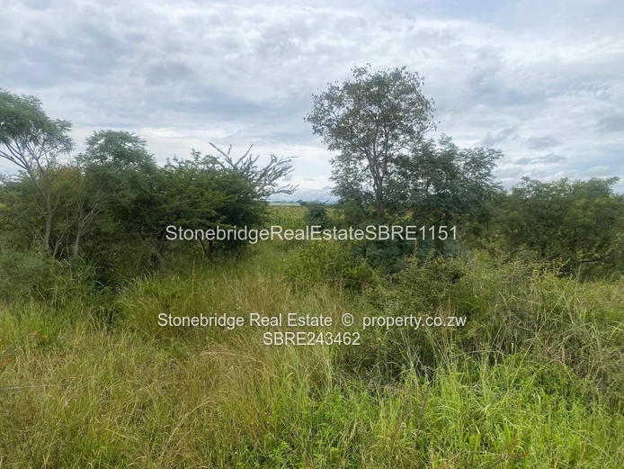 4 Acres Stand in Woodville Park for sale