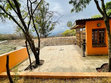 Farm & Agricultural Land