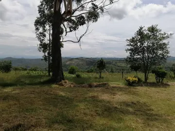 Farm & Agricultural Land