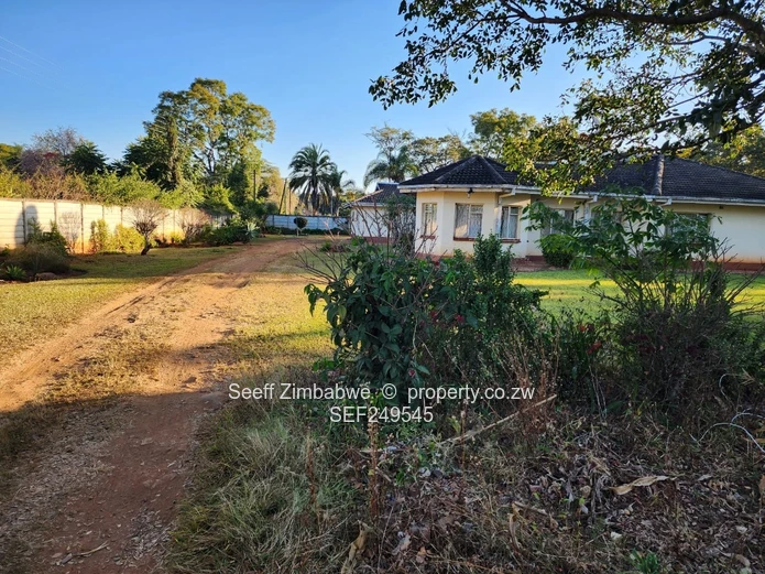 Prestigious Windmill Lane: Premier 2,800sqm Subdivision Stand with Income Cottage