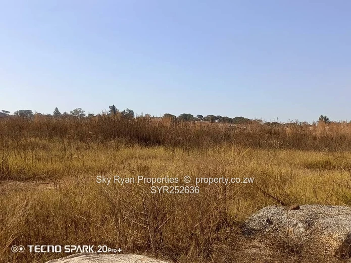 Nyeredzi Pomona Stand For Sale