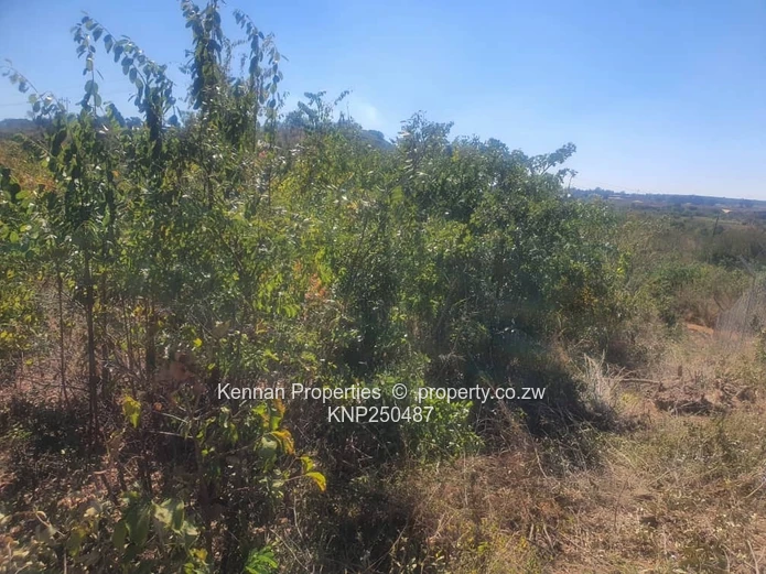 Prime 2,000sqm Residential Stand for Sale – Golden Heights, Mshumavale, Kadoma