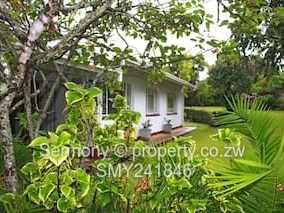 The Perfect Home Up For Grabs