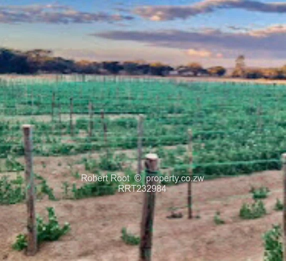 Unlock your faming potential in Beatrice