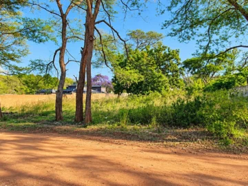Stands & Residential Land