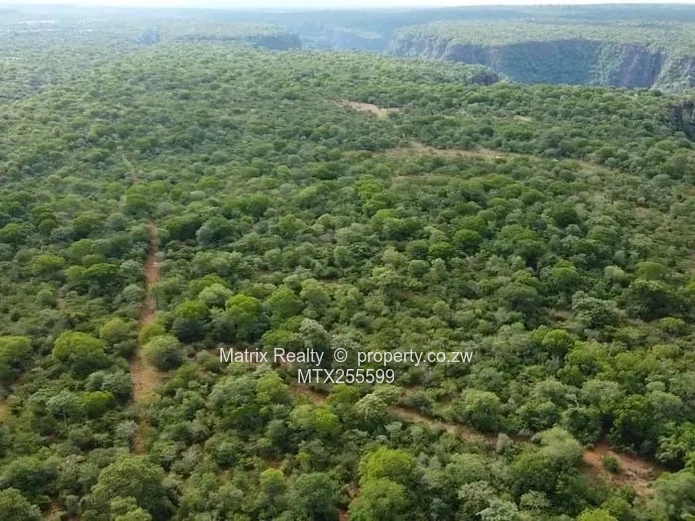 Gorge Facing Land for Sale in Victoria Falls 