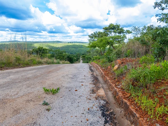 Farm & Agricultural Land