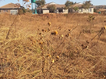 Stands & Residential Land