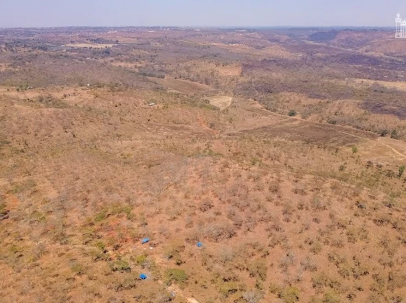 Farm & Agricultural Land
