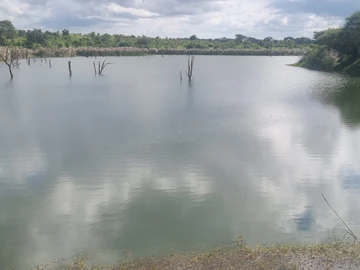 Farm & Agricultural Land