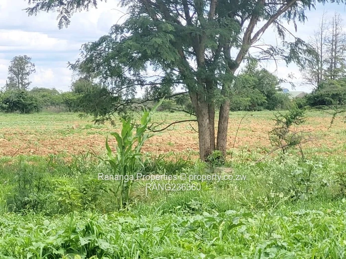 Kensington Plot for Sale