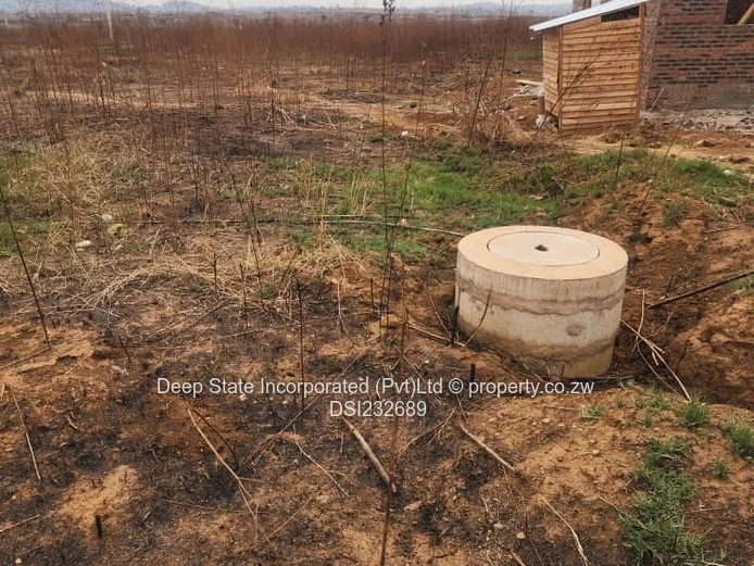 Glaudina stand for sale. 