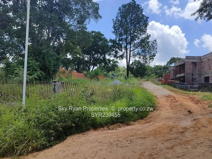 Borrowdale, Carrick Creagh Estate Stand For Sale