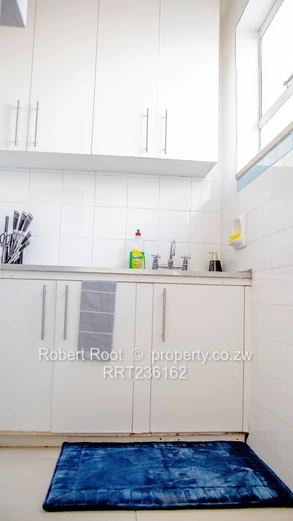 1 bed furnished apartment in Avenues