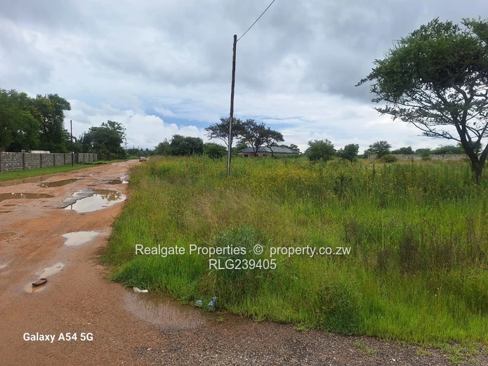 Sunninghill Corner Stand