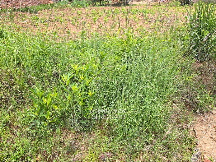 Rockview stand for sale! 