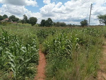 Land