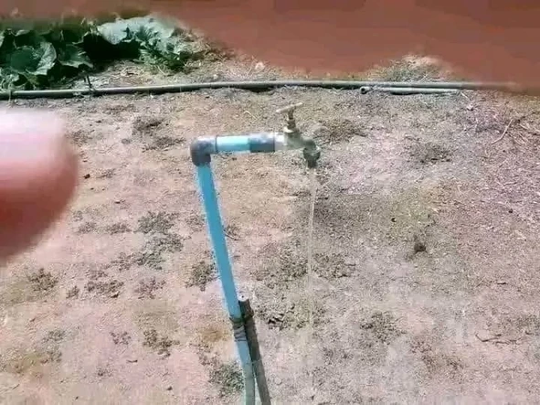 Land
