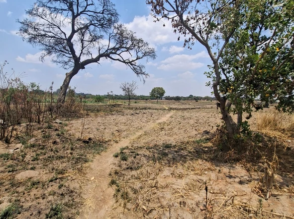 Commercial & Industrial Land