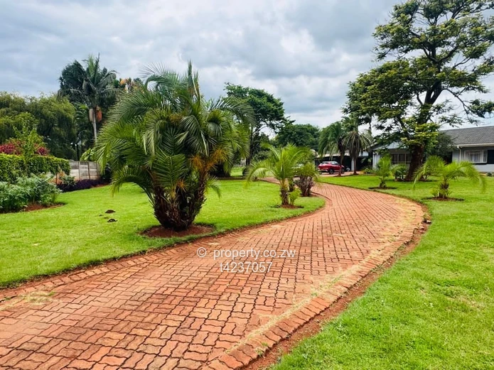 Greystone park house for rent