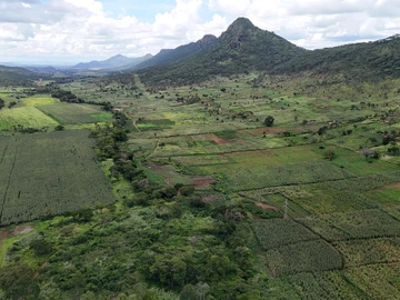 Farm & Agricultural Land