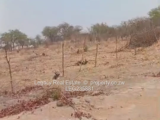 Prime Agro-Plots In Kadoma ,Perfect For Farming Or Horticulture