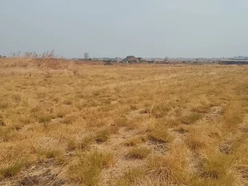 Farm & Agricultural Land