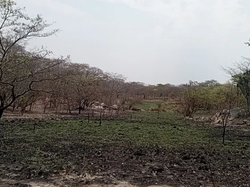 Farm & Agricultural Land