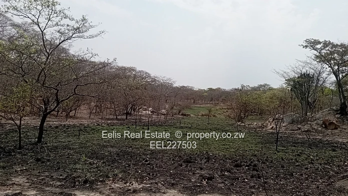 Gweru Plots for sale 