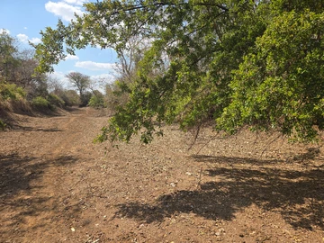Farm & Agricultural Land