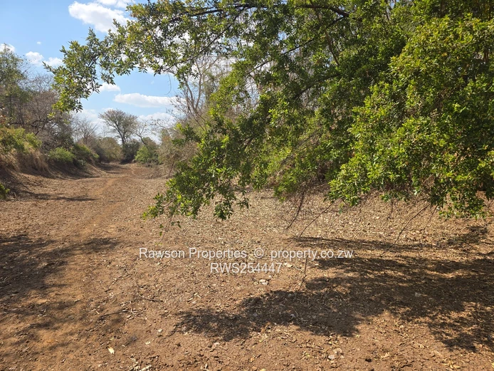 Don't Delay To Offer This Farm!!