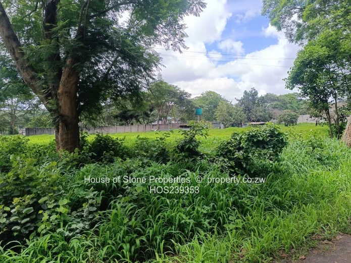 Glenlorne Stand - 1 Acre for Sale.