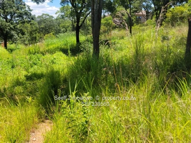 Prime Stands Available in Carrick Creagh! ??