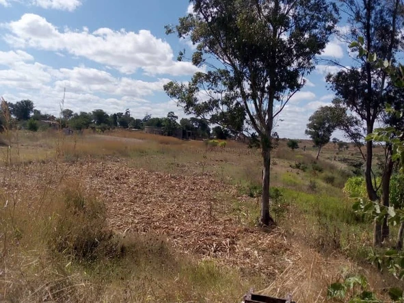 Farm & Agricultural Land