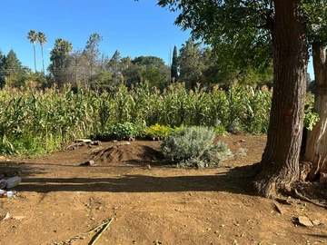 Farm & Agricultural Land