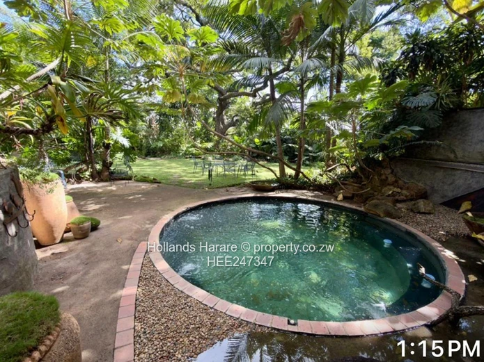 Incredible property in Glen Lorne