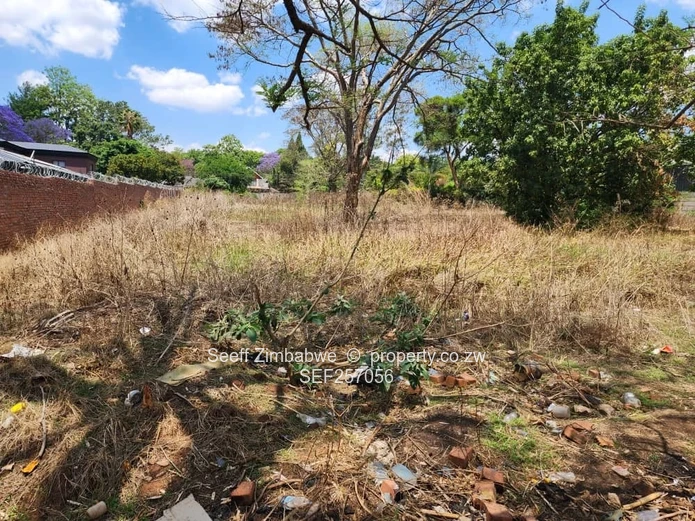 Rare Prime Find: Build Your Dream Home in Affluent Glen Lorne