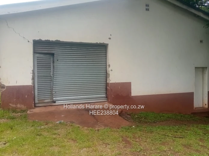 Avondale commercial property.