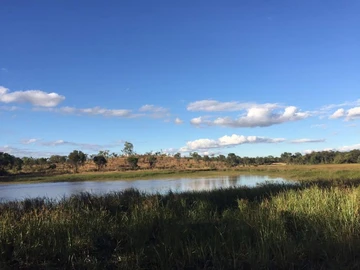 Farm & Agricultural Land