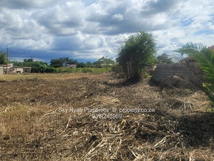 Lake City Stands For Sale