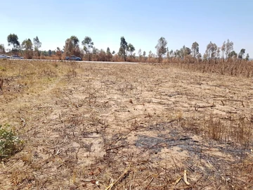 Commercial & Industrial Land