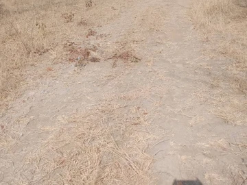 Commercial & Industrial Land