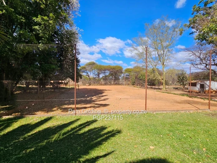 Expansive Gwanda Gem