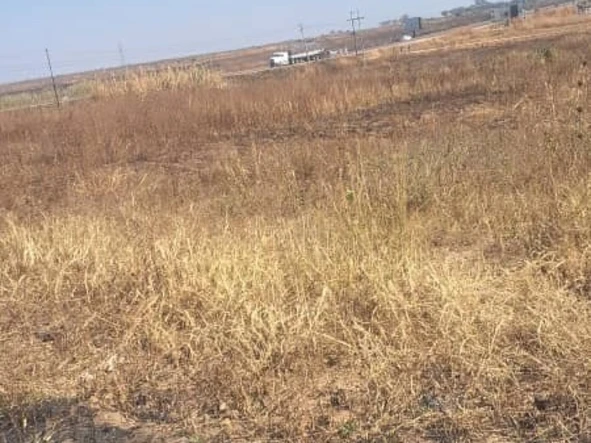 Stands & Residential Land