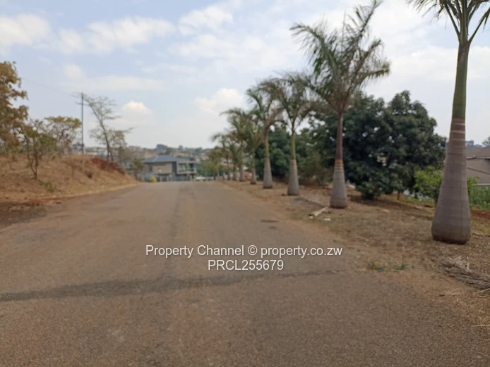 2,100m² Plot on Paved Road with Palm Trees, Hogerty Hill