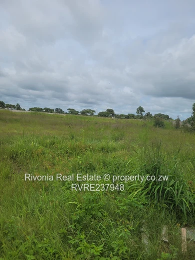 Norton Mwashuma Park Commercial stand