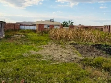 Stands & Residential Land