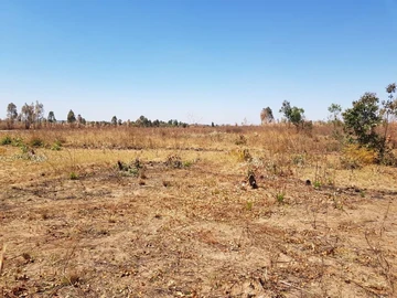 Commercial & Industrial Land